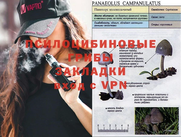 трава Абаза