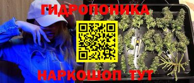 соль ск Ярославль