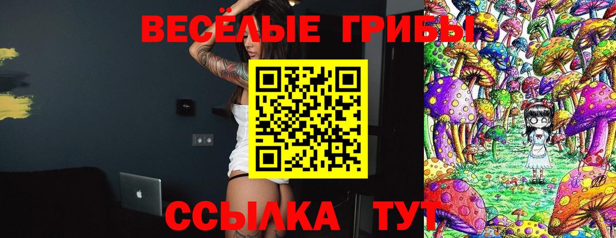 Галлюциногенные грибы ЛСД  Вход с VPN  Галлюциногенные грибы Psilocybe  Лиски 