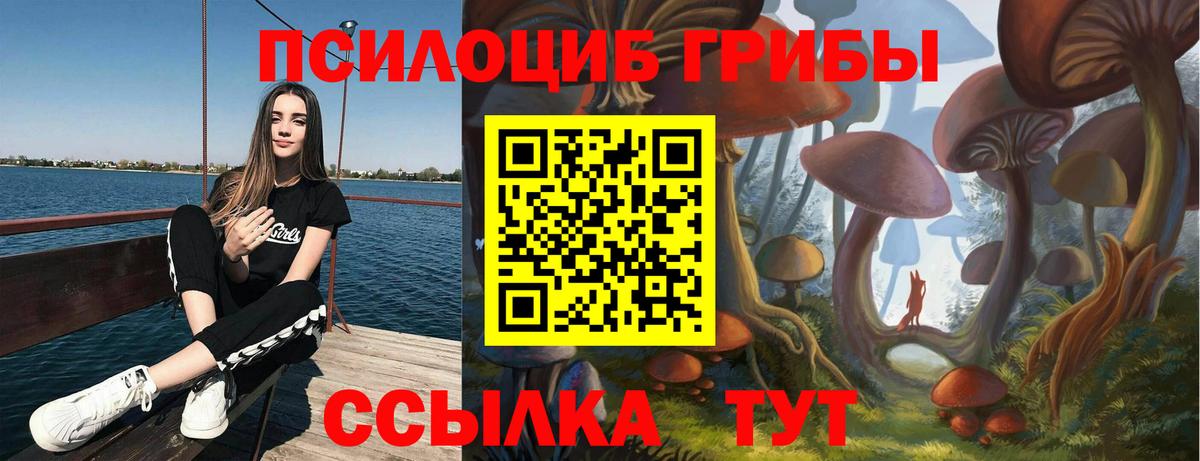 Псилоцибиновые грибы GOLDEN TEACHER Лиски